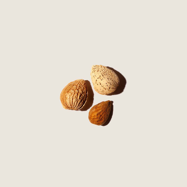 Aceite de Almendras 100ml - vista alternativa