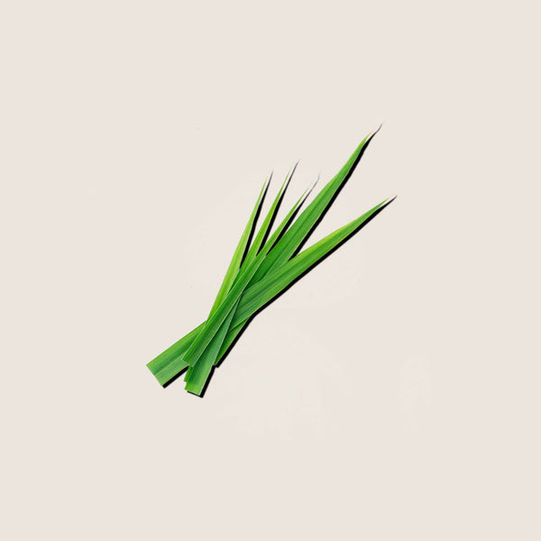 Aceite Esencial de Lemongrass 10ml - vista alternativa
