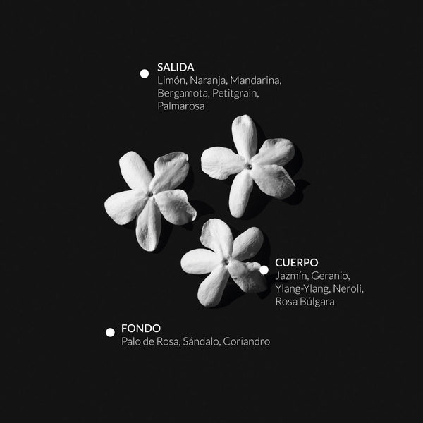Sensuality Esprit de Parfum 10ml - vista alternativa