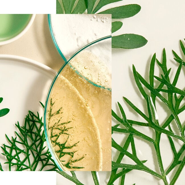 Ingredientes activos de Eye recovery balm - cosmética profesional Natura Bisse