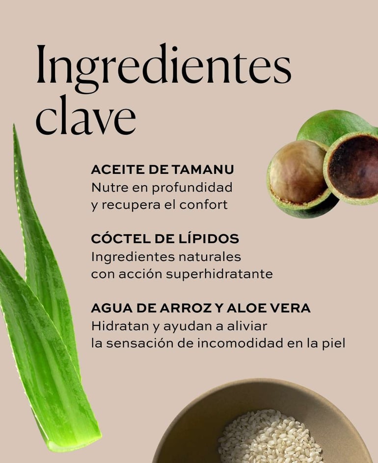 the body cream 5 - Natura Bisse cosmética profesional