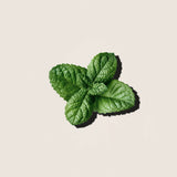 Aceite Esencial de Menta 10ml - Alqvimia