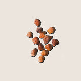 Aceite Esencial de Mirra 10 ml - Alqvimia