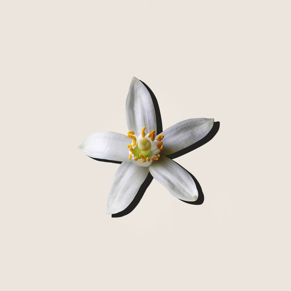 Aceite Esencial de Neroli 5ml - Alqvimia