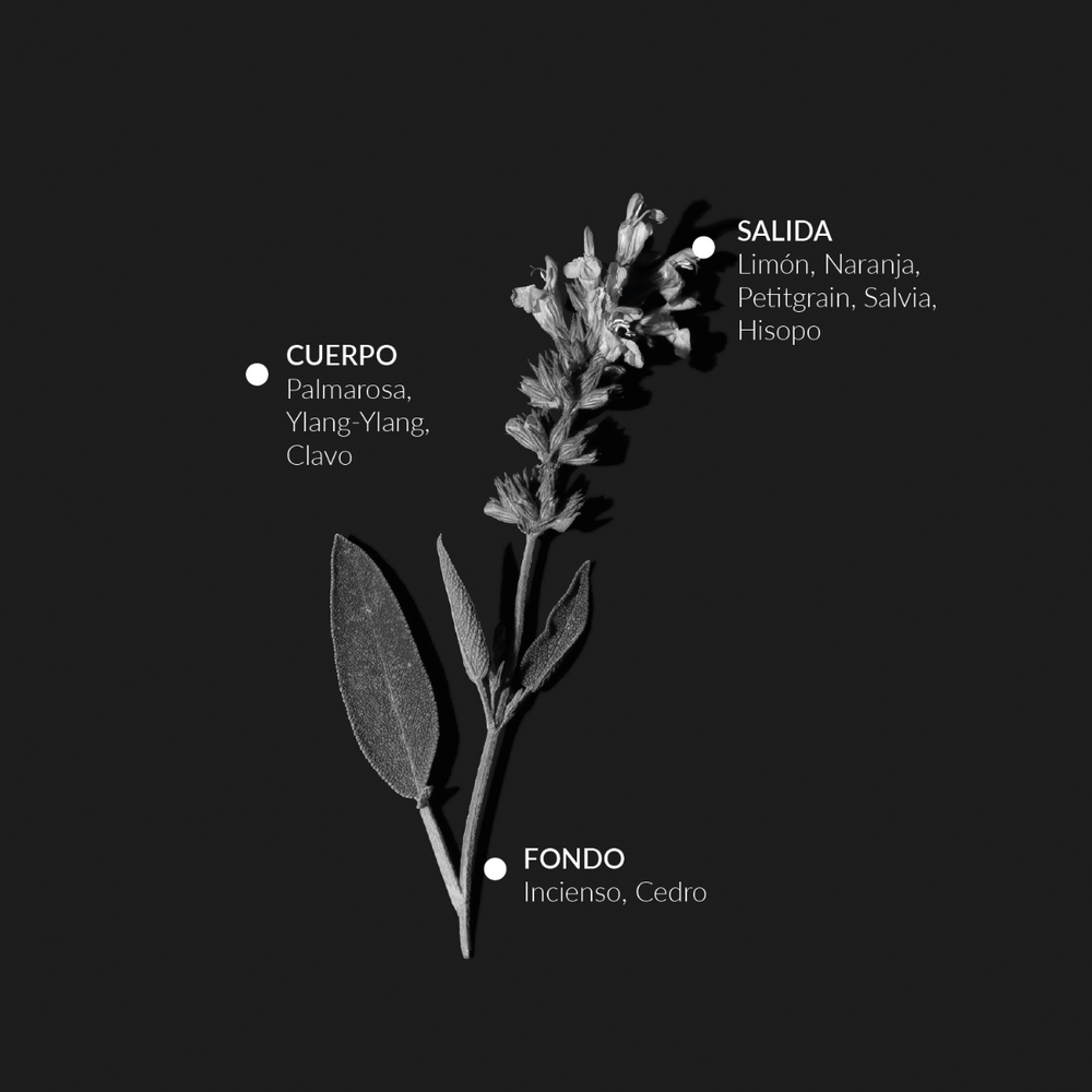 Agua Depurativa de Salvia 100 ml - Alqvimia