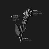 Agua Depurativa de Salvia 100 ml - Alqvimia